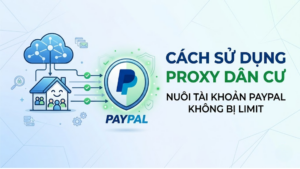 Cách sử dụng Proxy dân cư nuôi tài khoản PayPal không bị limit