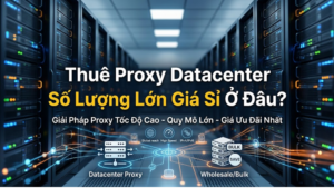 Thuê Proxy Datacenter số lượng lớn giá sỉ ở đâu