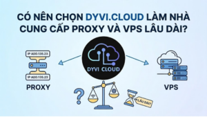 Có nên chọn Dyvi Cloud làm nhà cung cấp Proxy và VPS lâu dài?