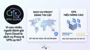 Vì sao nhiều người đánh giá Dyvi Cloud là dịch vụ Proxy & VPS uy tín?
