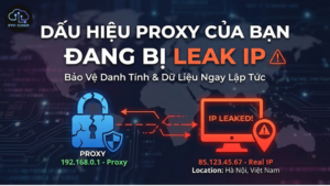 Những dấu hiệu Proxy của bạn đang bị leak IP