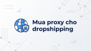 Mua proxy cho dropshipping/TMĐT ở đâu? Cách test bằng shop phụ | Dyvi Cloud